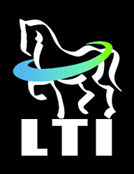 Lighthorse Technologies Inc.